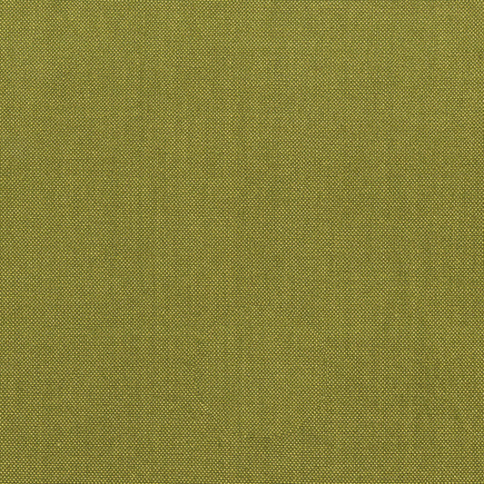 Artisan Cotton Solid Olive-Light Olive Another Point of View Windham Fabrics Cotton Fabrics WF-40171-57