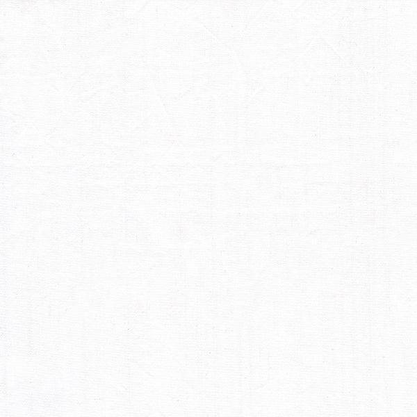 Artisan Cotton Solid White/White Another Point of View Windham Fabrics Cotton Fabrics WF-40171-120