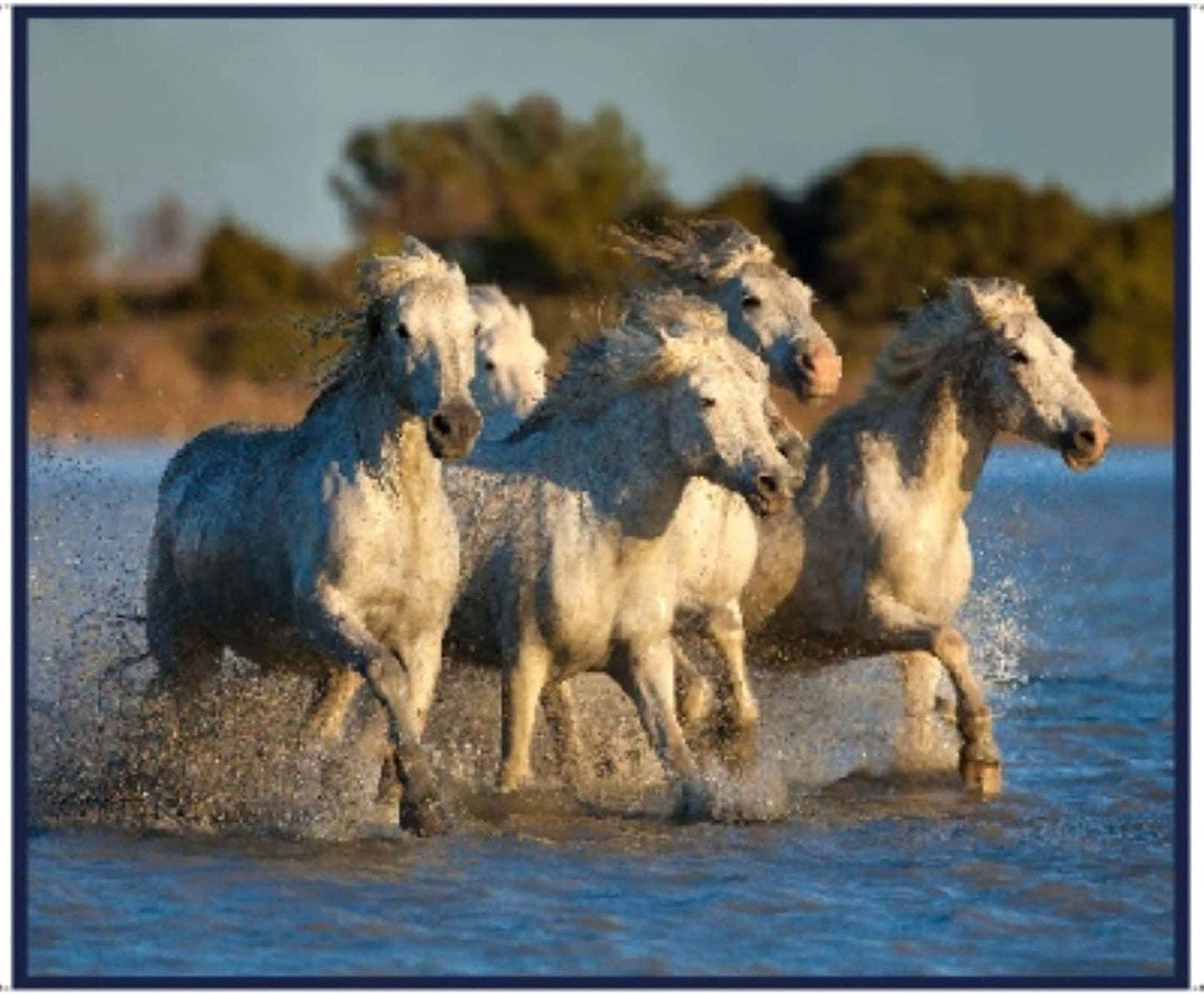 Artworks XX Running Horses the Beach Panel 36" Jim Zuckerman Quilting Treasures Cotton Fabric