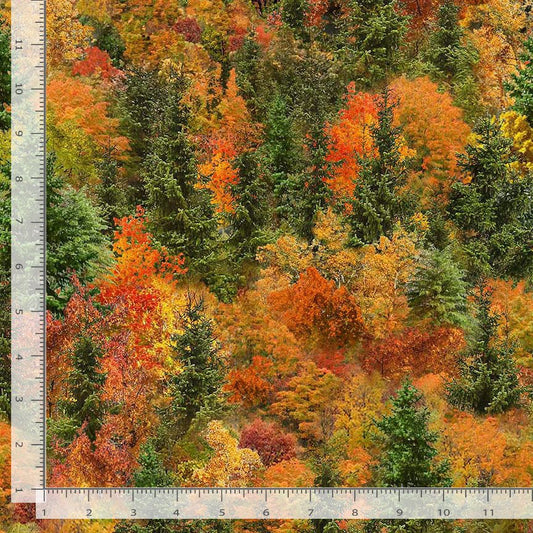 Autumn Mist Forest Fall Orange Green Timeless Treasures Cotton Fabric TT-NATURE-CD4207-FALL