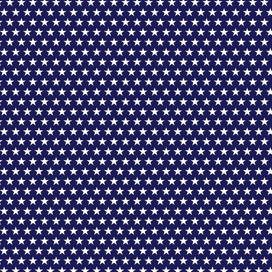 BBQ Season USA Stars Navy Gail Cadden Timeless Treasures Cotton fabric