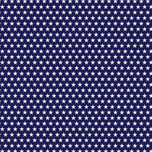 BBQ Season USA Stars Navy Gail Cadden Timeless Treasures Cotton fabric