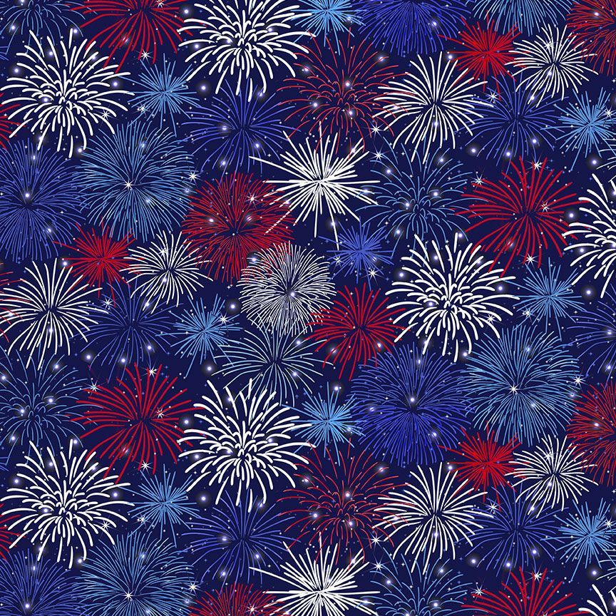 BBQ Season 4th of July Fireworks Navy Gail Cadden Timeless Treasures Cotton fabric