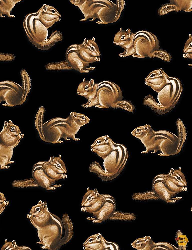 Backyard Wildlife Realistic Chipmunks Black George McCartney Timeless Treasures Cotton Fabric