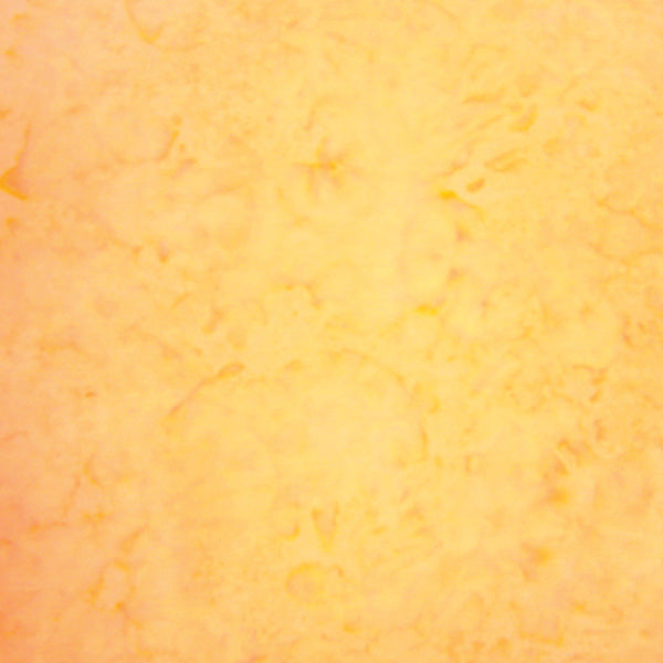 1895 Bali Watercolors Batiks Tutti Fruitti Yellow Hoffman Cotton Batik Quilting Fabric HF-1895-479