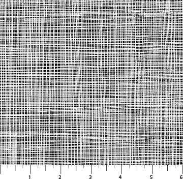 Basically Black and White Lily Linen Negative White on Black Patrick Lose Northcott Cotton Fabric NC-PL-10729-98