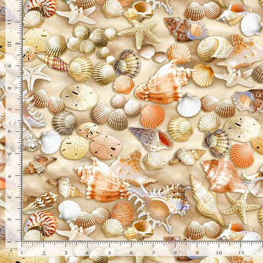 Beach Comber Shells Starfish Allover Multi Timeless Treasures Cotton Fabric