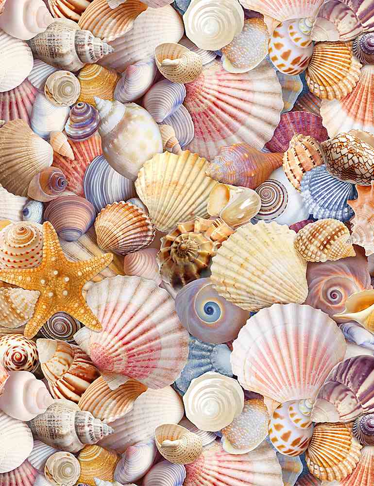 Beach Comber Packed Shells Multi Timeless Treasures Cotton Fabric