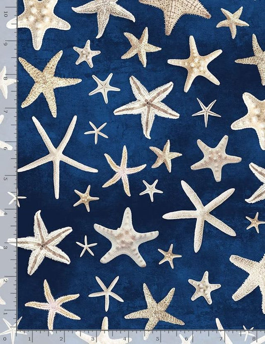 Beach Dreams Starfish Navy Blue Timeless Treasures Cotton Fabric