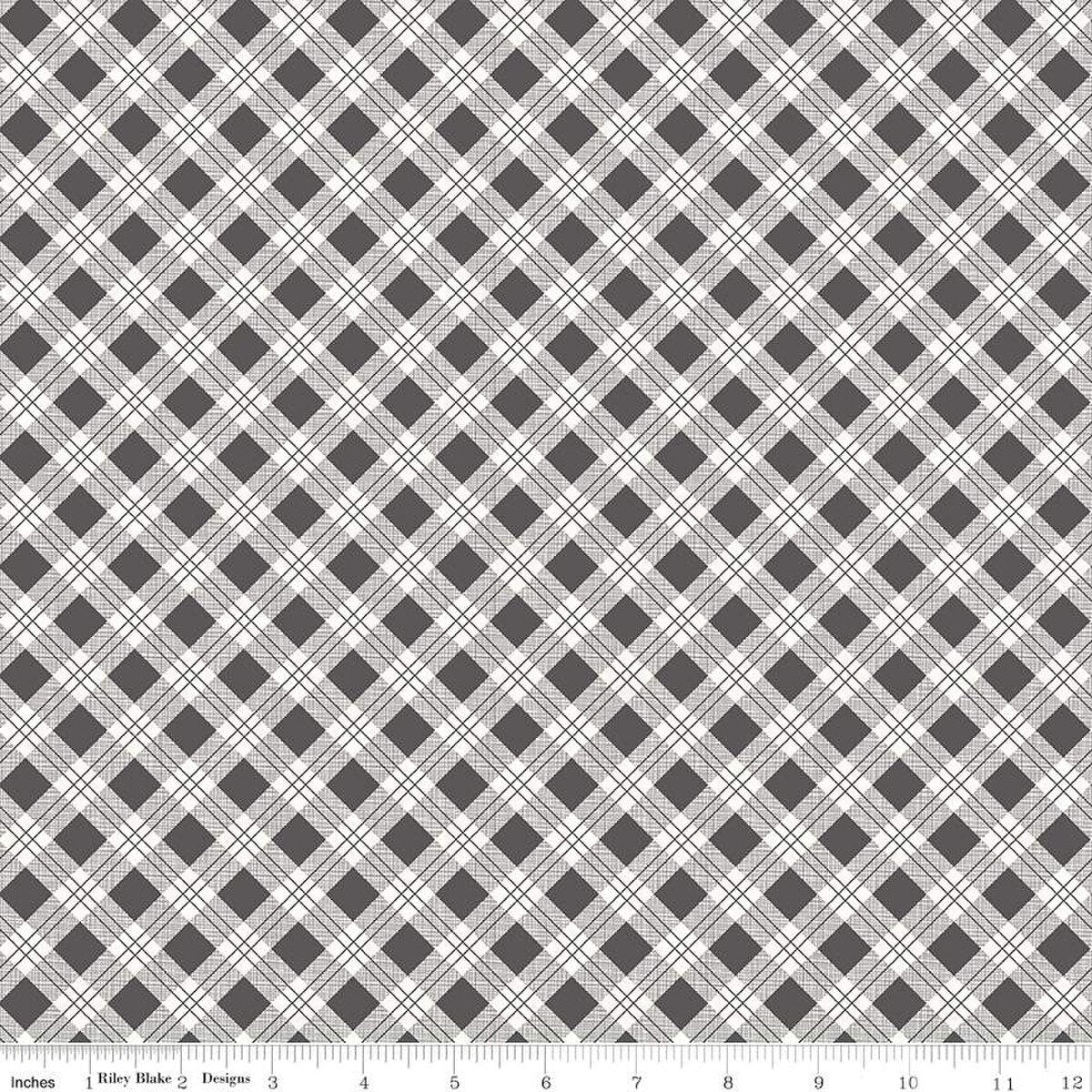 Bee Plaids Scarecrow Steel Grey Lori Holt Riley Blake Designs Cotton Fabric RB-C12020-Steel