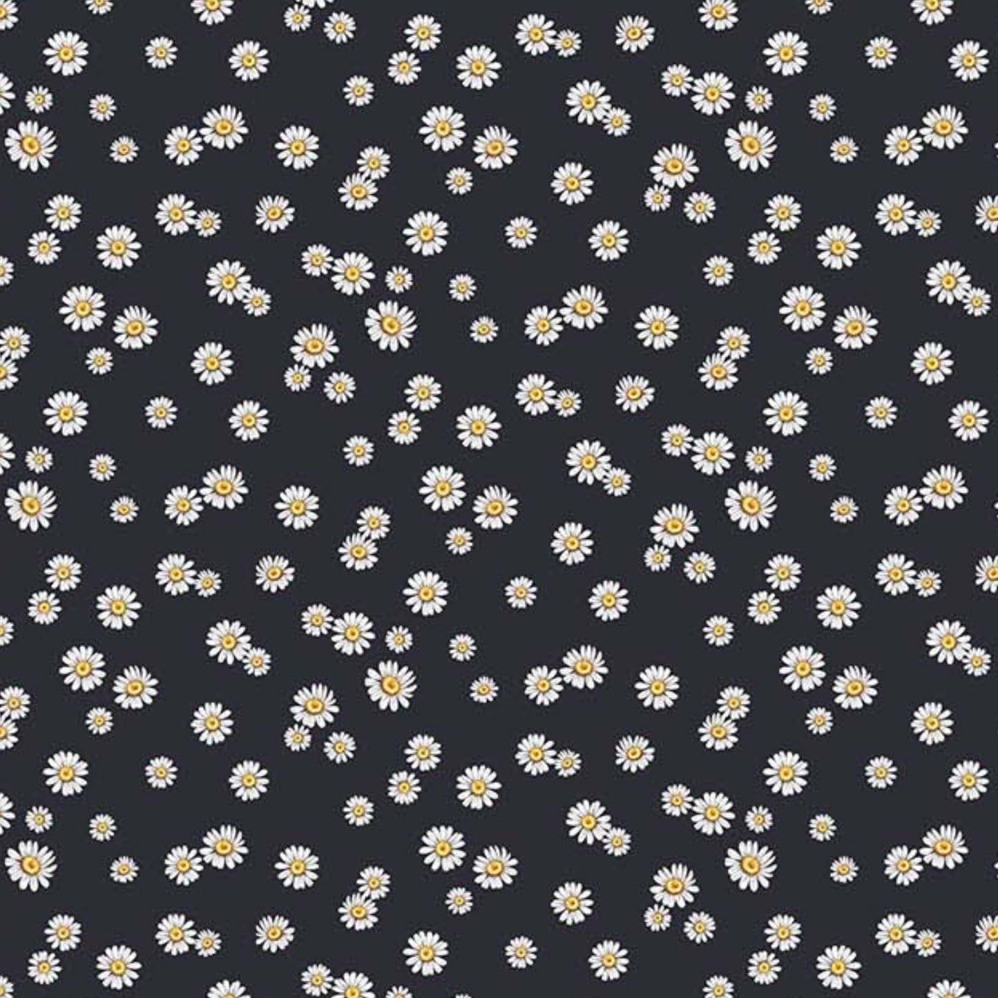 Beecroft Daisies Charcoal Black Deborah Edwards Northcott Cotton Fabric