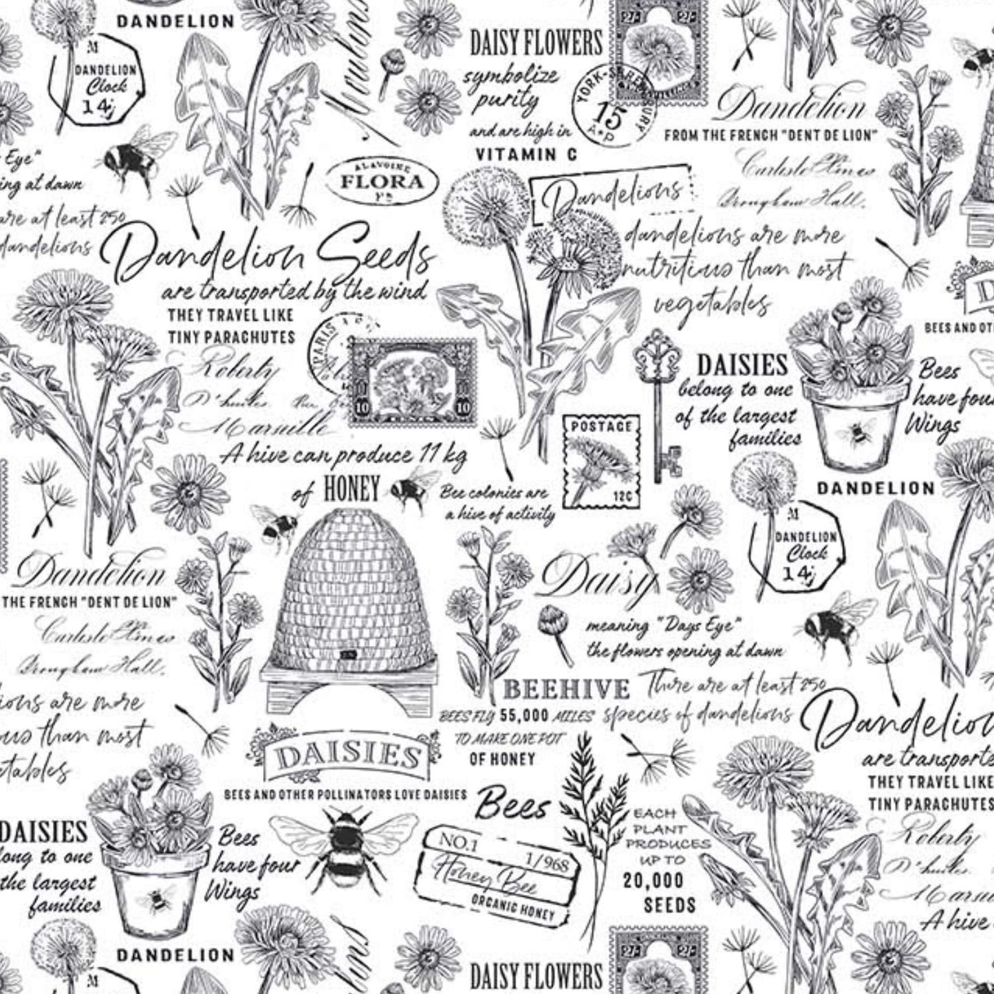 Beecroft Text Script White Deborah Edwards Northcott Cotton Fabric