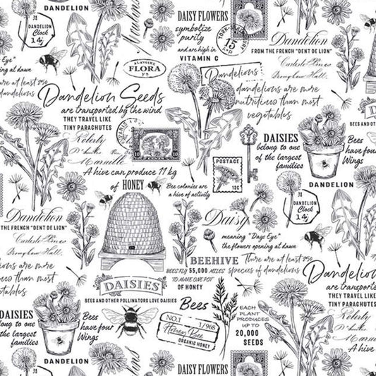 Beecroft Text Script White Deborah Edwards Northcott Cotton Fabric