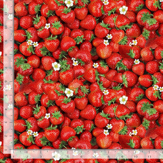 Berry Sweet Realistic Packed Sweet Strawberries Red Timeless Treasures Cotton Fabric TT-FRUIT-CD3403-RED