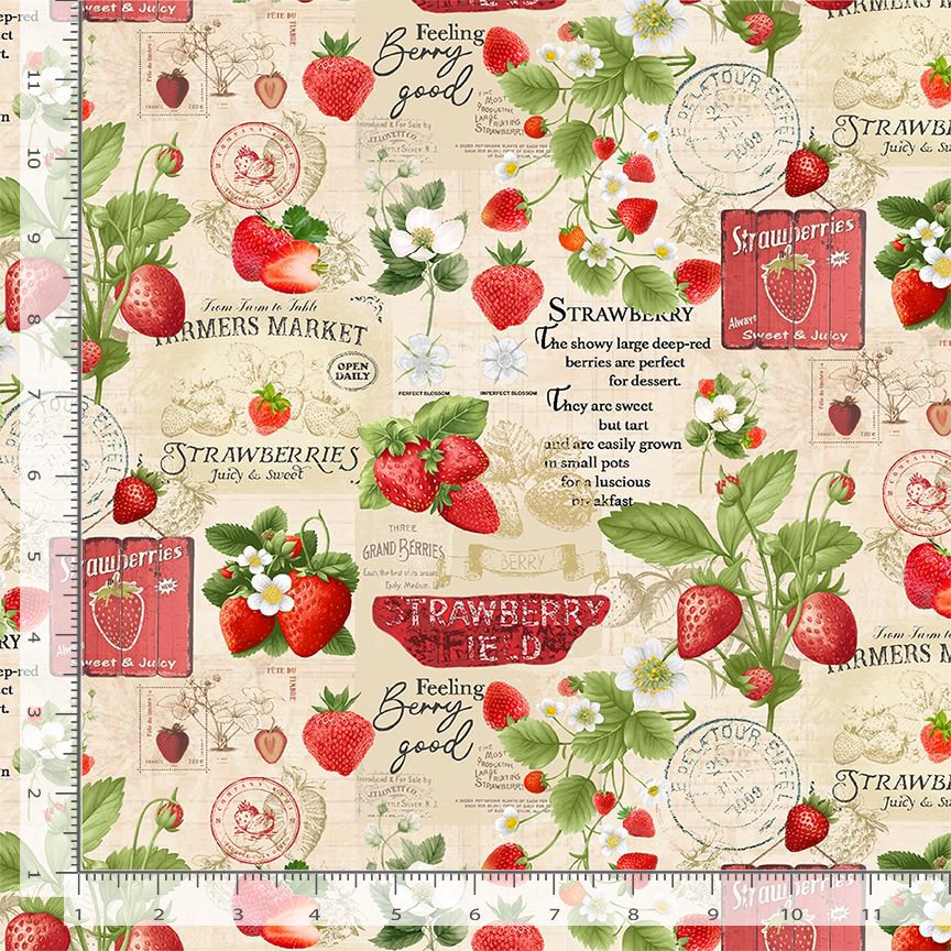 Berry Sweet Strawberries Market Collage Beige Timeless Treasures Cotton Fabric TT-FRUIT-CD3400-BEIGE