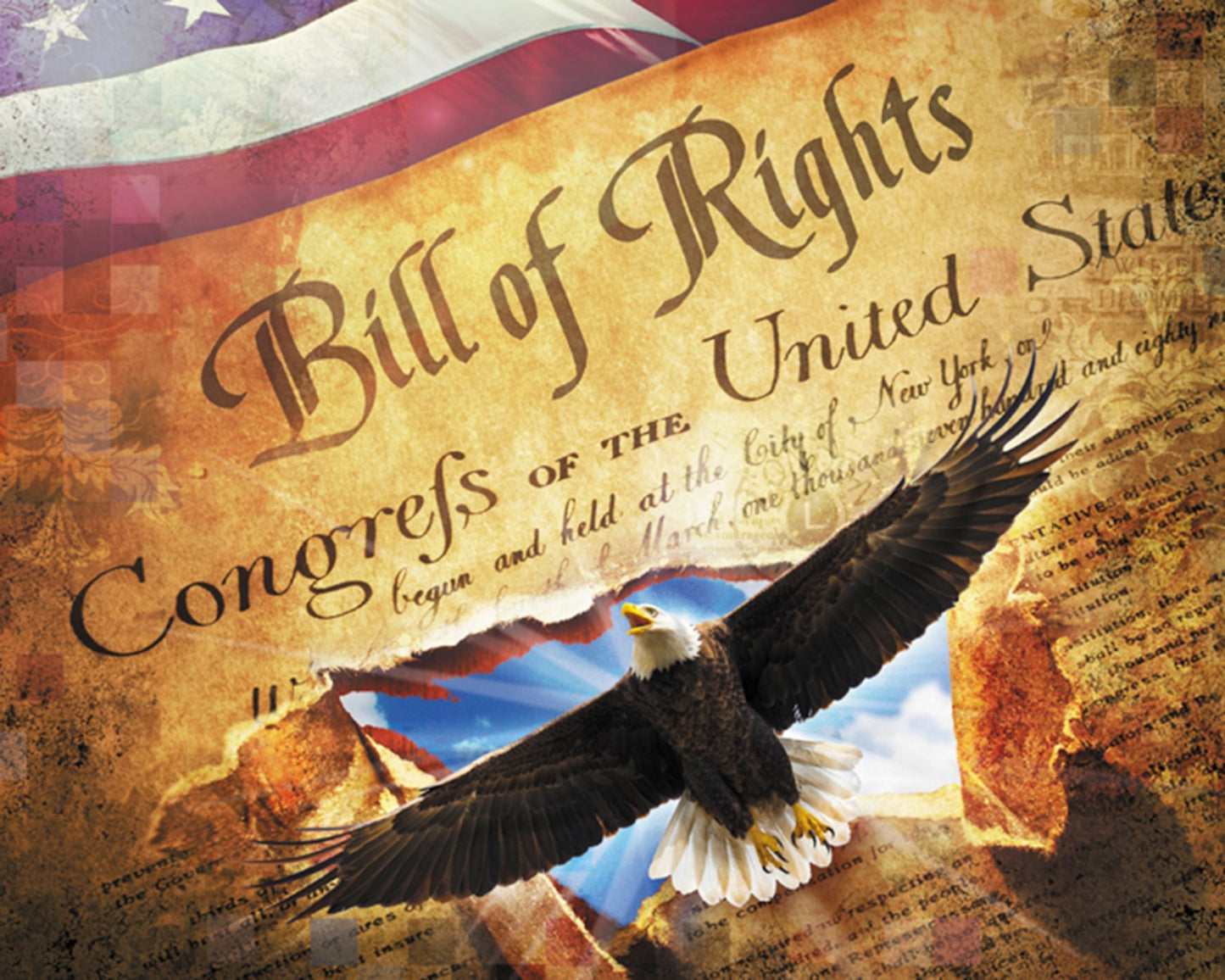 Bill of Rights Constitution 36" Panel Patriotic David Textiles Cotton Fabric