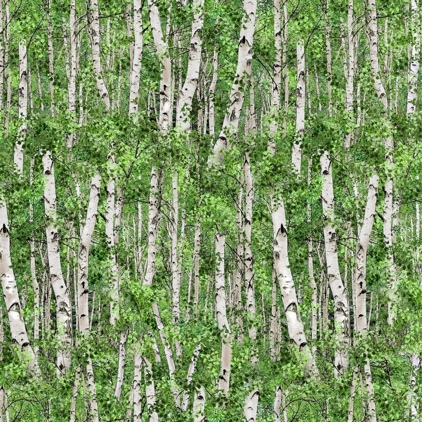 Birch Treeest Landscape Medley Elizabeth's Studio Cotton Fabric