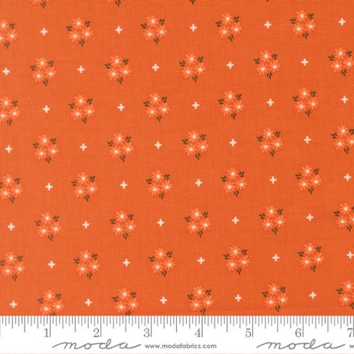 Birch & Willow Pumpkin Bloom Florals Spice Orange Sherri & Chelsi Moda Cotton Fabric MD-37722-15