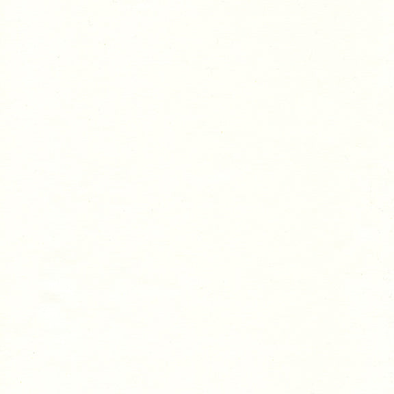 Bodacious Blacks Solids White Batik Island Batik Cotton Fabric IB-White