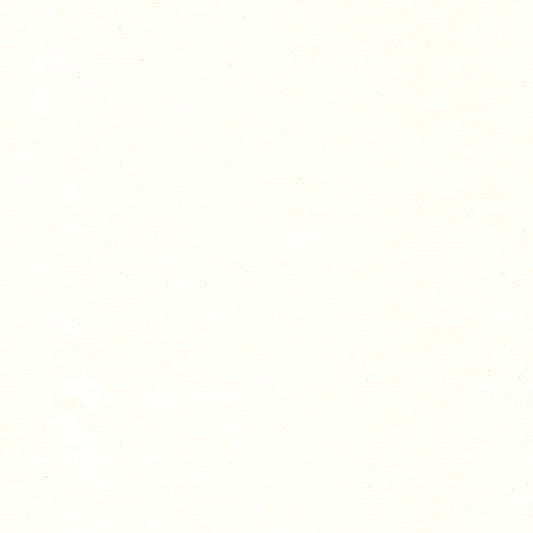 Bodacious Blacks Solids White Batik Island Batik Cotton Fabric IB-White