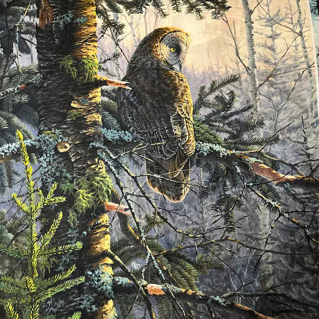 Boreal Owl Forest Perch Scene 36" David Textiles Cotton Fabric