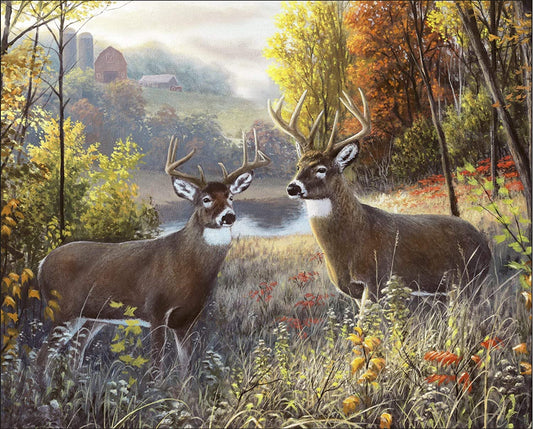 Brothers Two Large Buck Deer Panel 36" David Textles Cotton Fabric