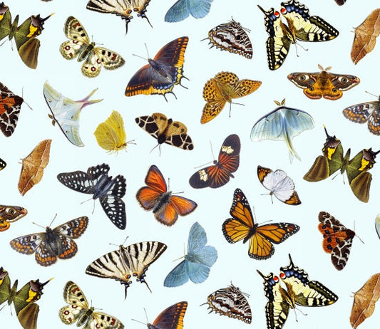 Butterflies and Moths Packed Sky Blue Elizabeth's Studio Cotton Fabric