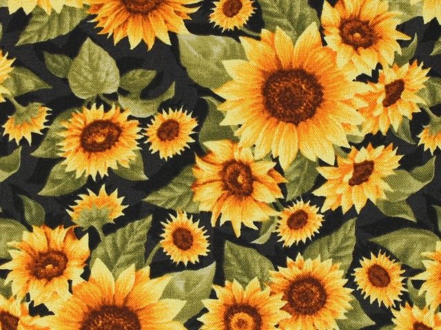 Golden Harvest Sunflower Black Choice Cotton Fabric