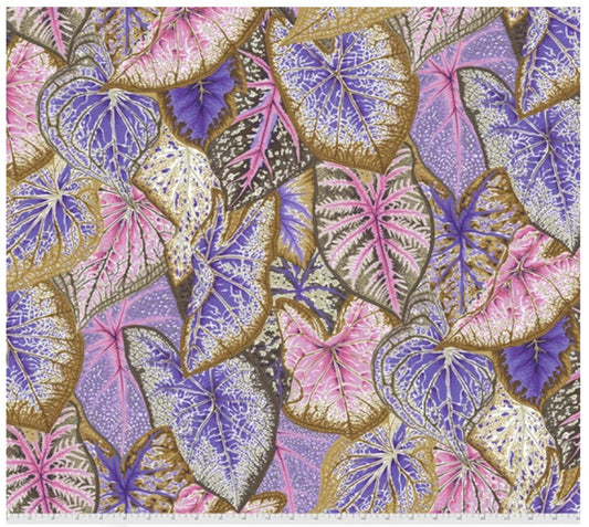 Caladiums Pastel Philip Jacobs Stash Kaffe Fassett Collective Free Spirit Cotton Fabric