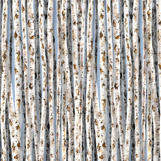 Camp Life Birch Trees on Blue Sky by Dona Gelsinger for Timeless Treasures 44 in wide 100% Cotton Fabric TT-DONA-CD1914