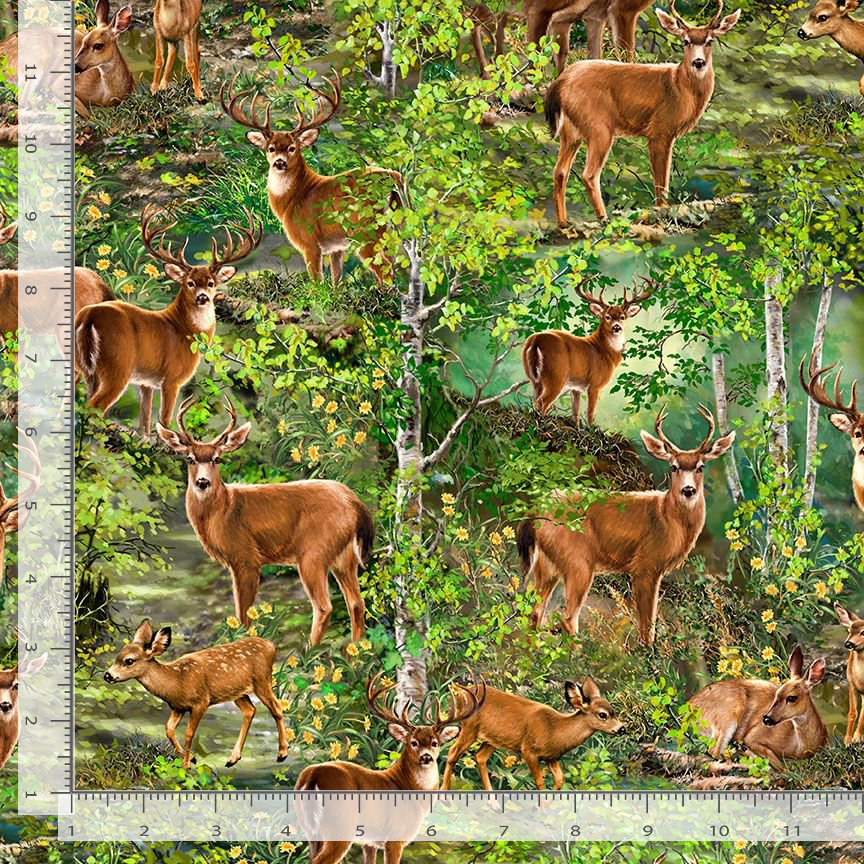 Camp Life Realistic Deers  Woods Trees Forest Green Dona Gelsinger Timeless Treasures Cotton Fabric TT-DONA-CD1911-Forest