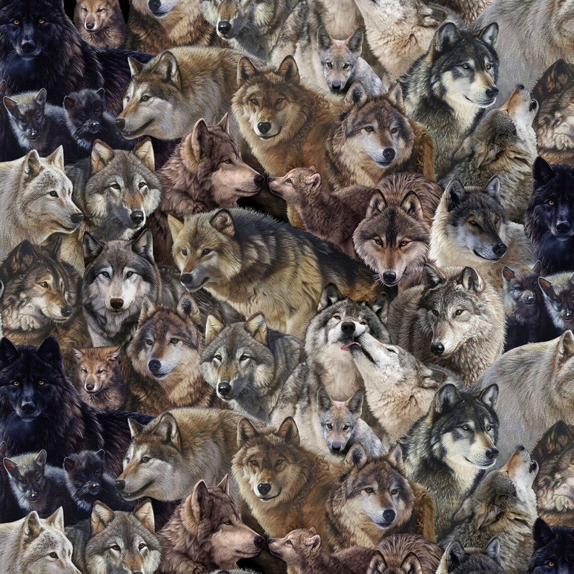 Canis Lupus Packed Wolves Multi Elizabeth's Studio Cotton Fabric ES-9704-Multi