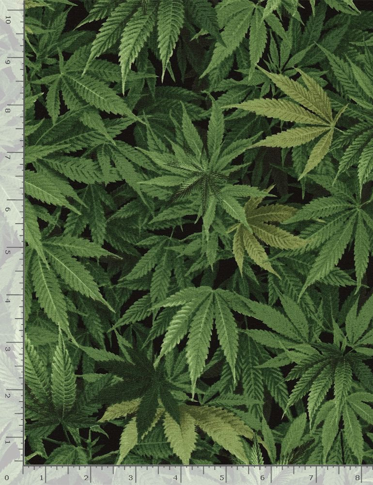 Cannabis Leaf Nature Home Grown Mary Jane Timeless Treasures Cotton Fabric