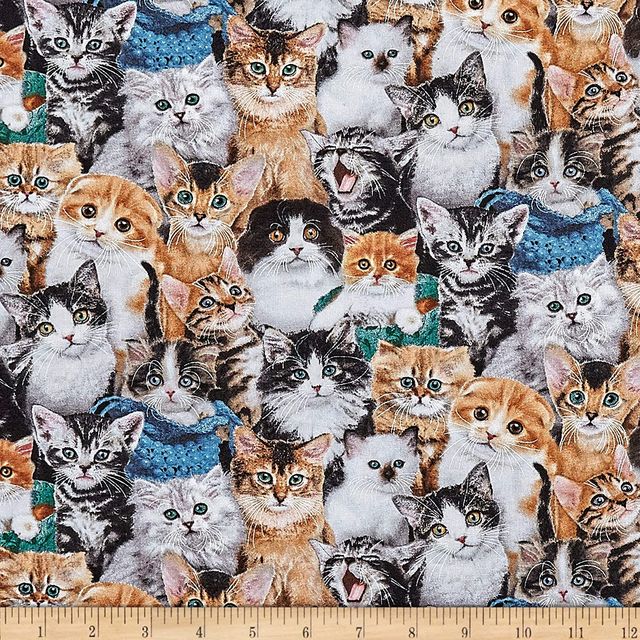 Cat Breeds Packed Kittens Multi Elizabeth's Studio Cotton Fabric