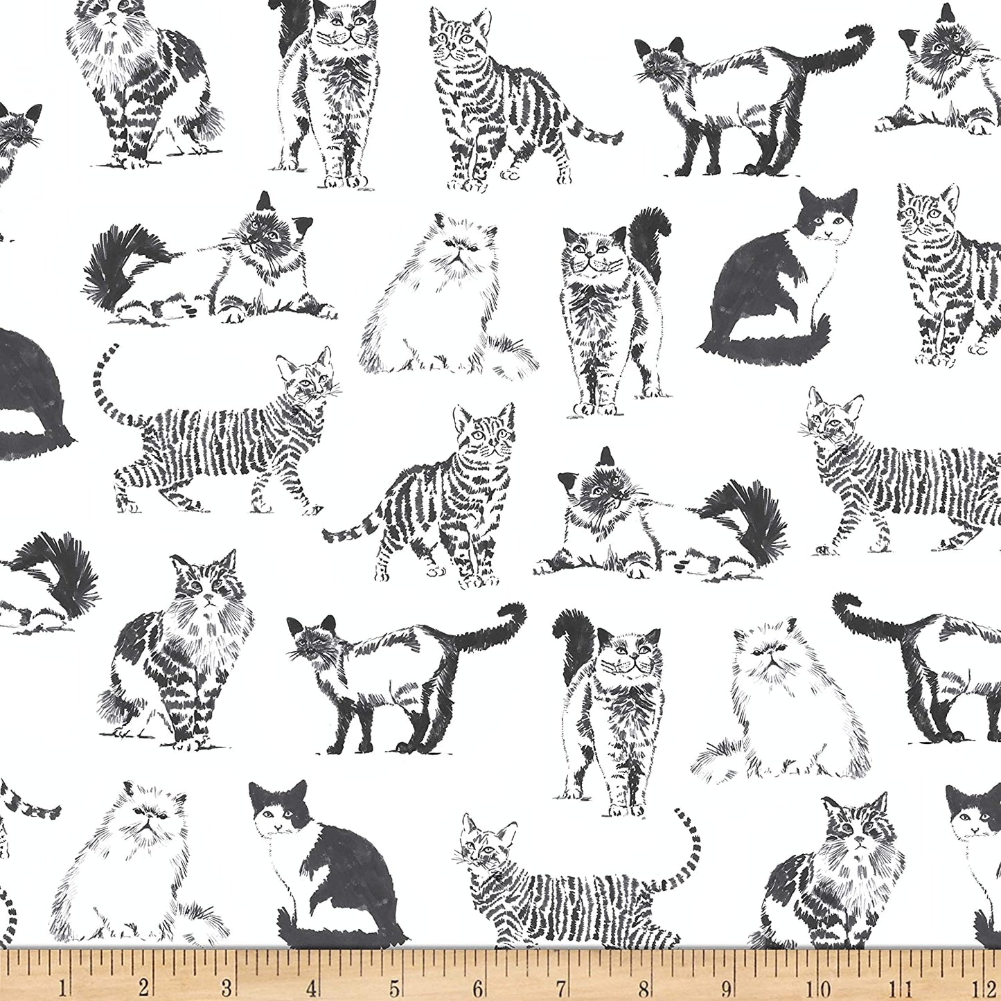 Cat Pet Sketch Realistic Cats White Timeless Treasures Cotton Fabric