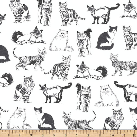 Cat Pet Sketch Realistic Cats White Timeless Treasures Cotton Fabric