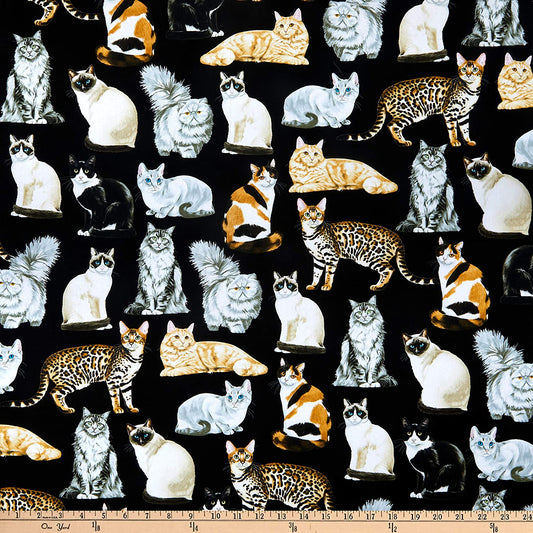 Cats Assorted Realistic Cats Black Timeless Treasures Cotton Fabric