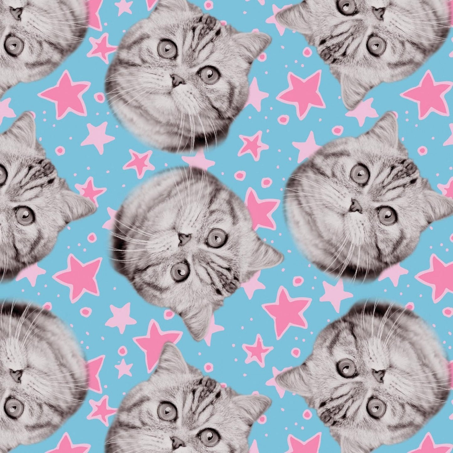 Cats Rule Superstars Cat Blue Rachael Hale Camelot Cotton Fabric