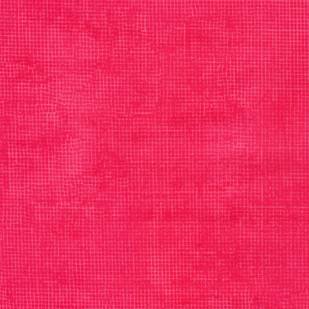 Chalk and Charcoal Watermelon Jennifer Sampou Robert Kaufman Cotton Fabric RK-AJS-17513-377