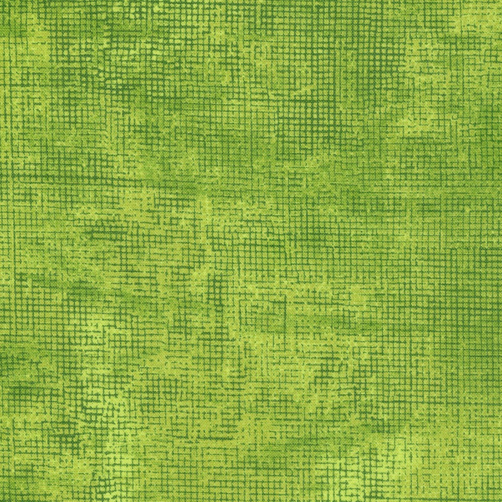 Chalk and Charcoal Zucchini Jennifer Sampou Robert Kaufman Cotton Fabric RK-AJS-17513-358