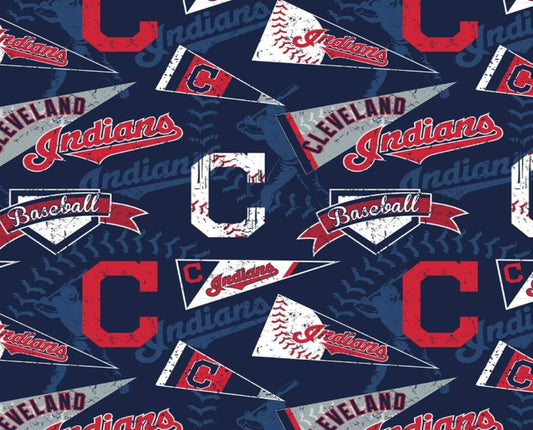 Cleveland Baseball MLB Baseball Block Fabric Traditions Cotton Fabric