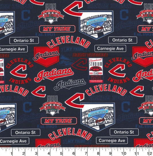 Cleveland MLB Baseball Stadium Fabric Traditions Cotton Fabric