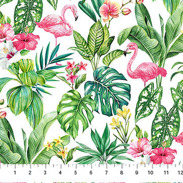 Coastal Breeze Flamingo White Multi Northcott Studio Cotton Fabric NC-DP28556-10