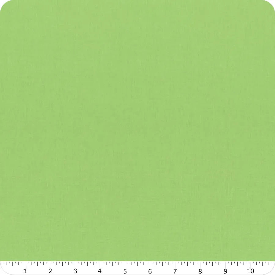 Confetti Cotton Solid Riley Green Riley Blake Designs Cotton Fabric RB-C120-RILEYGREEN