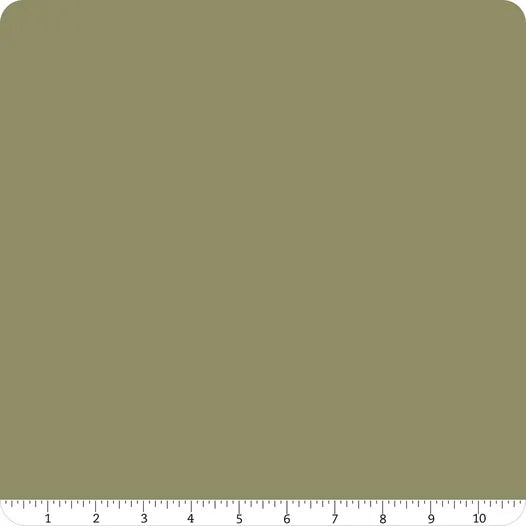 Confetti Cotton Solid Rosemary Riley Blake Designs Cotton Fabric RB-C1 ...