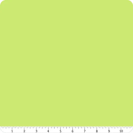 Confetti Cotton Solid Wasabi Green Riley Blake Designs Cotton Fabric RB-C120-WASABI