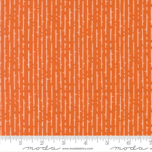 Coven Thorny Stripes Pumpkin Spice Orange Robin Pickens Moda Cotton Fabric MD-48806-13