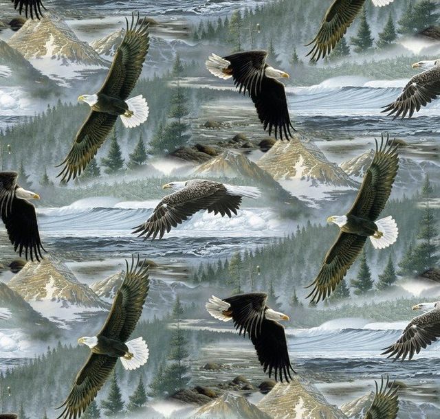 Soaring Along the Shores Animal Tradition Novelty Prints David Textiles Cotton Fabric