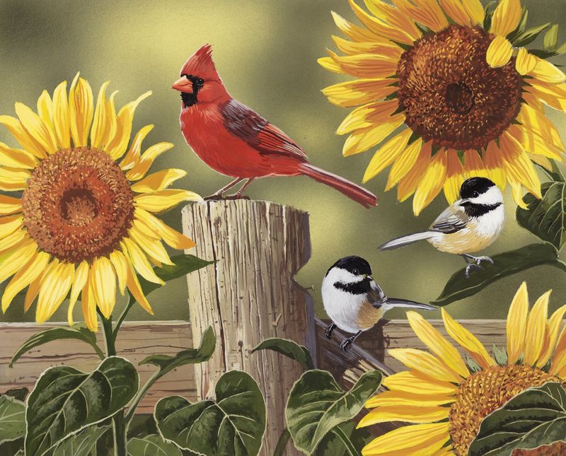 Sunflowers Birds Cardinal Panel 36" David Textiles Cotton Fabric