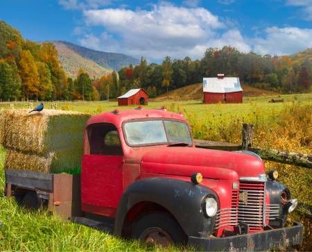 Vintage Red Truck Farm Panel 36" Four Seasons Collection David Textiles Cotton fabric